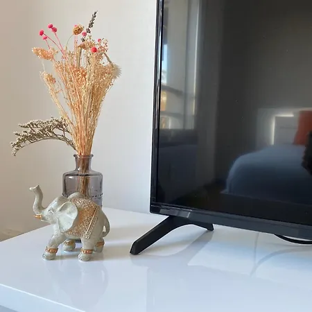 Joli En Boisee Appartement Écully