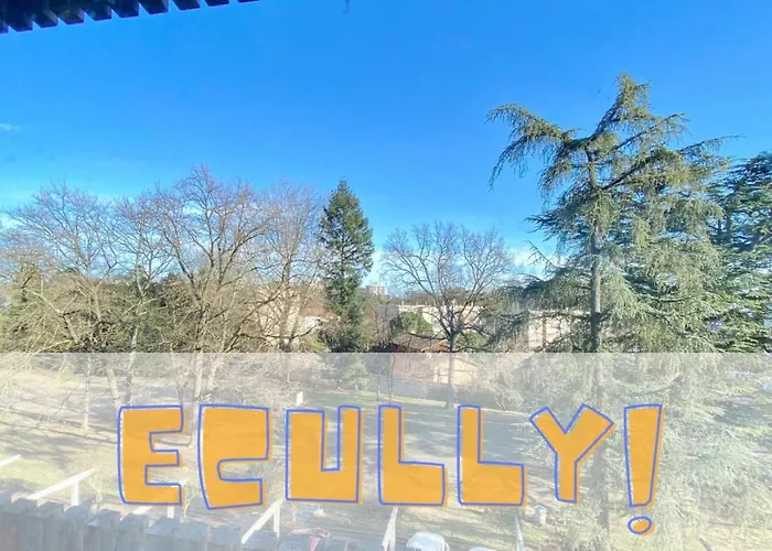 Hollywood En Boisee Écully